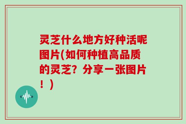 灵芝什么地方好种活呢图片(如何种植高品质的灵芝？分享一张图片！)