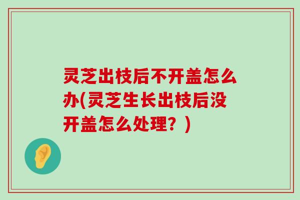 灵芝出枝后不开盖怎么办(灵芝生长出枝后没开盖怎么处理？)