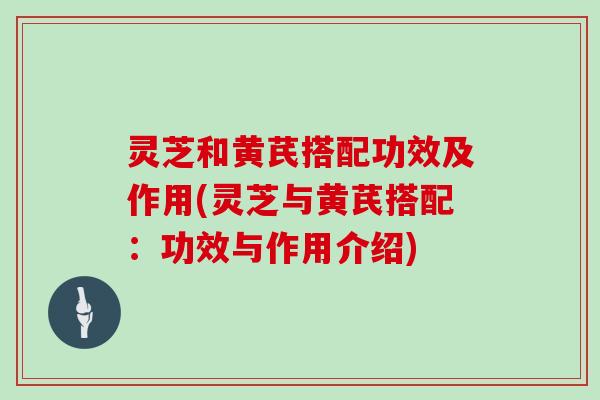 灵芝和黄芪搭配功效及作用(灵芝与黄芪搭配：功效与作用介绍)