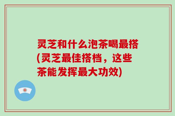 灵芝和什么泡茶喝搭(灵芝佳搭档，这些茶能发挥大功效)