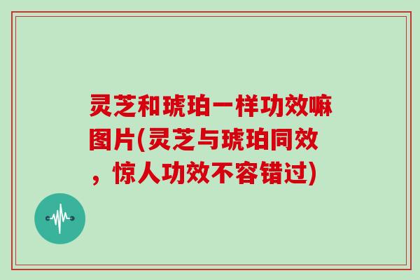 灵芝和琥珀一样功效嘛图片(灵芝与琥珀同效，惊人功效不容错过)