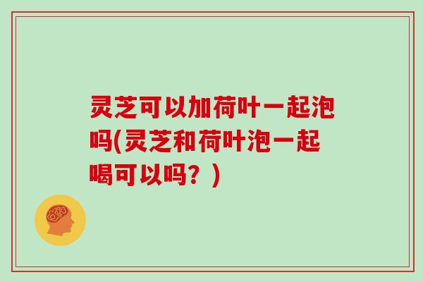 灵芝可以加荷叶一起泡吗(灵芝和荷叶泡一起喝可以吗？)