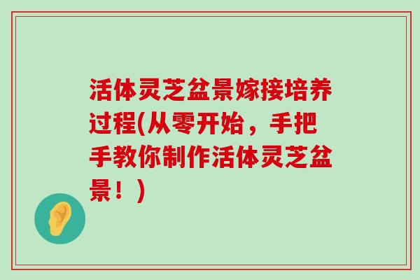 活体灵芝盆景嫁接培养过程(从零开始，手把手教你制作活体灵芝盆景！)