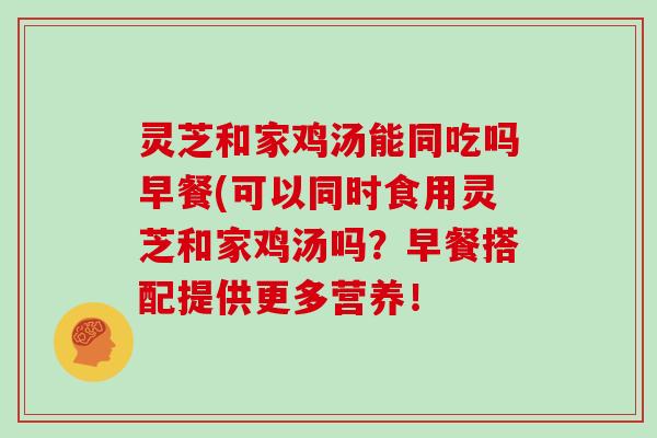 灵芝和家鸡汤能同吃吗早餐(可以同时食用灵芝和家鸡汤吗？早餐搭配提供更多营养！