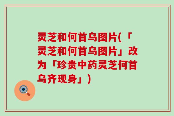 灵芝和何首乌图片(「灵芝和何首乌图片」改为「珍贵灵芝何首乌齐现身」)