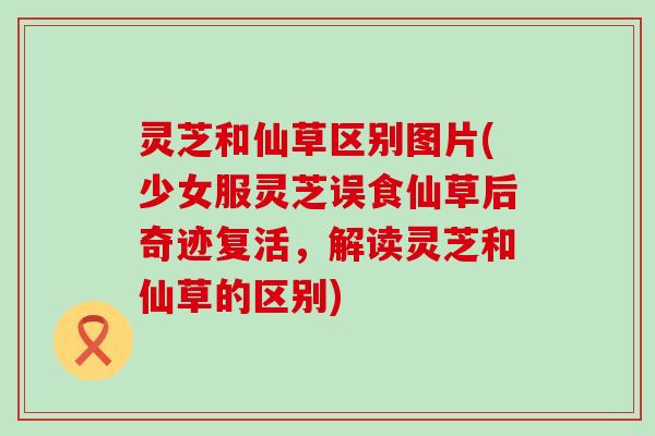 灵芝和仙草区别图片(少女服灵芝误食仙草后奇迹复活，解读灵芝和仙草的区别)