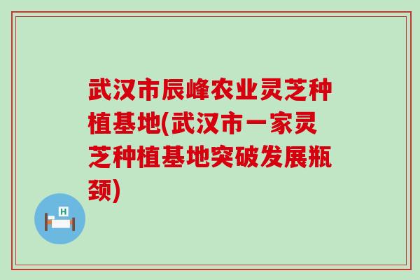 武汉市辰峰农业灵芝种植基地(武汉市一家灵芝种植基地突破发展瓶颈)