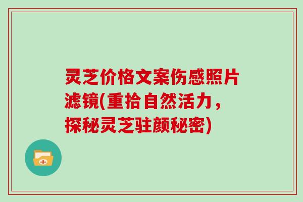 灵芝价格文案伤感照片滤镜(重拾自然活力，探秘灵芝驻颜秘密)