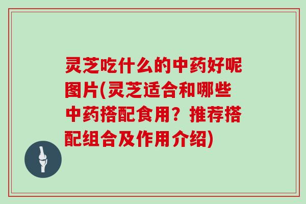 灵芝吃什么的好呢图片(灵芝适合和哪些搭配食用？推荐搭配组合及作用介绍)