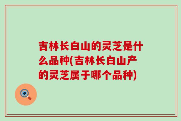 吉林长白山的灵芝是什么品种(吉林长白山产的灵芝属于哪个品种)