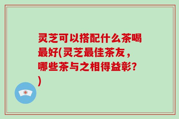 灵芝可以搭配什么茶喝好(灵芝佳茶友，哪些茶与之相得益彰？)