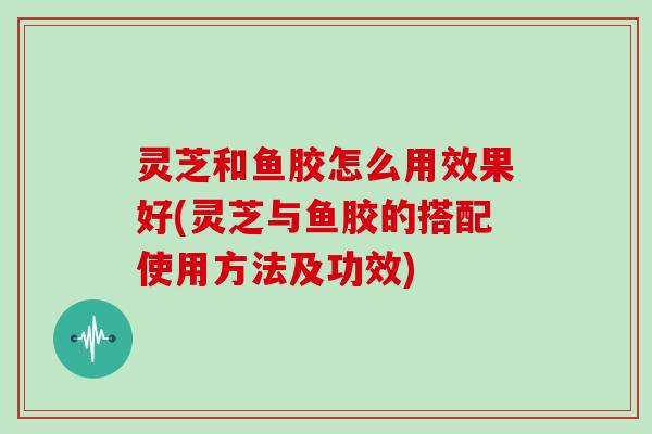 灵芝和鱼胶怎么用效果好(灵芝与鱼胶的搭配使用方法及功效)