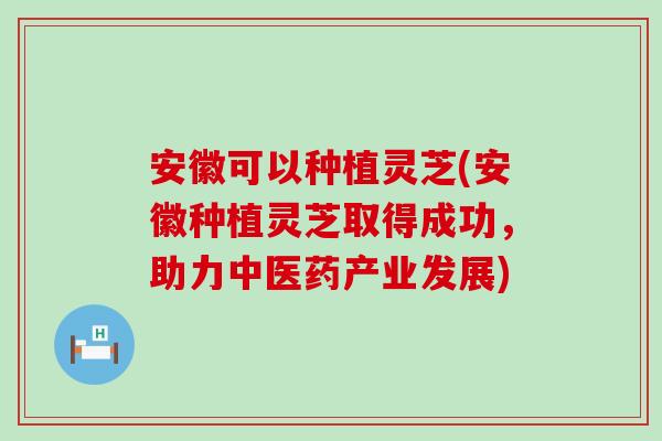 安徽可以种植灵芝(安徽种植灵芝取得成功，助力中医药产业发展)