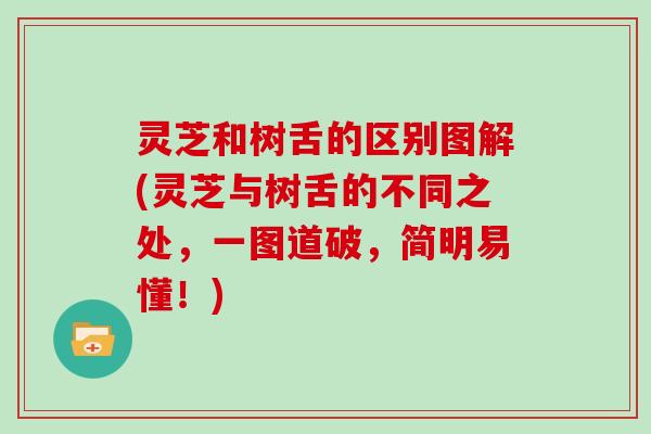 灵芝和树舌的区别图解(灵芝与树舌的不同之处，一图道破，简明易懂！)