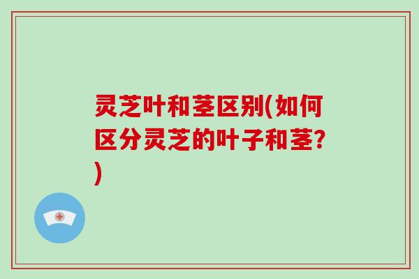 灵芝叶和茎区别(如何区分灵芝的叶子和茎？)