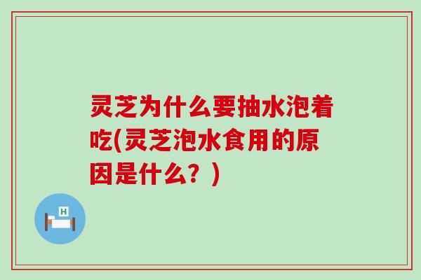 灵芝为什么要抽水泡着吃(灵芝泡水食用的原因是什么？)