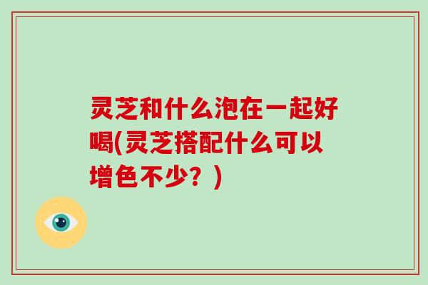 灵芝和什么泡在一起好喝(灵芝搭配什么可以增色不少？)