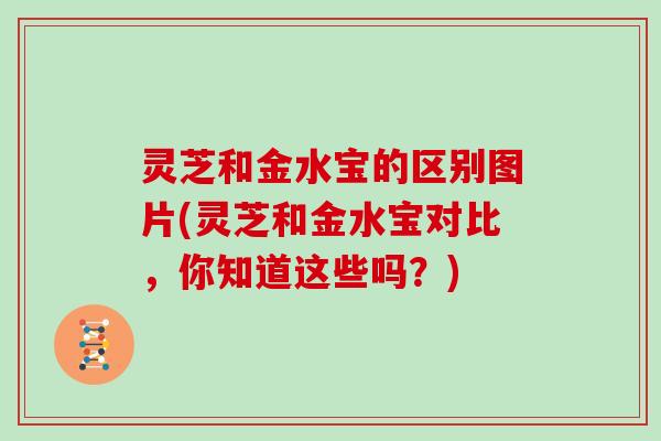 灵芝和金水宝的区别图片(灵芝和金水宝对比，你知道这些吗？)