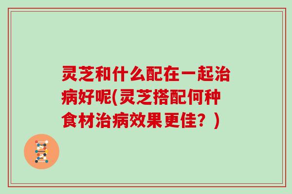 灵芝和什么配在一起好呢(灵芝搭配何种食材效果更佳？)