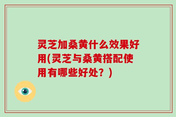 灵芝加桑黄什么效果好用(灵芝与桑黄搭配使用有哪些好处？)