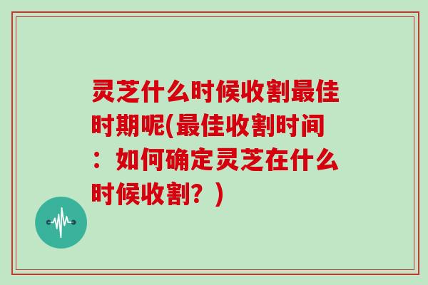 灵芝什么时候收割佳时期呢(佳收割时间：如何确定灵芝在什么时候收割？)