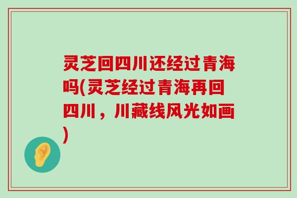 灵芝回四川还经过青海吗(灵芝经过青海再回四川，川藏线风光如画)