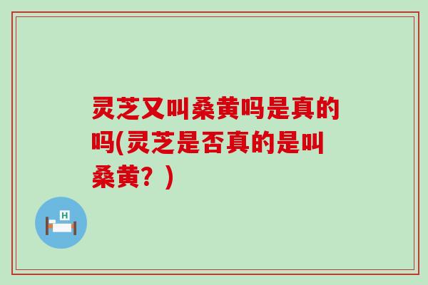 灵芝又叫桑黄吗是真的吗(灵芝是否真的是叫桑黄？)