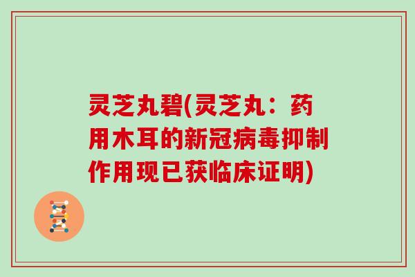 灵芝丸碧(灵芝丸：药用木耳的新冠抑制作用现已获临床证明)