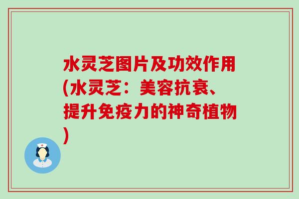 水灵芝图片及功效作用(水灵芝：美容抗衰、提升免疫力的神奇植物)