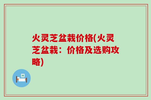 火灵芝盆栽价格(火灵芝盆栽：价格及选购攻略)