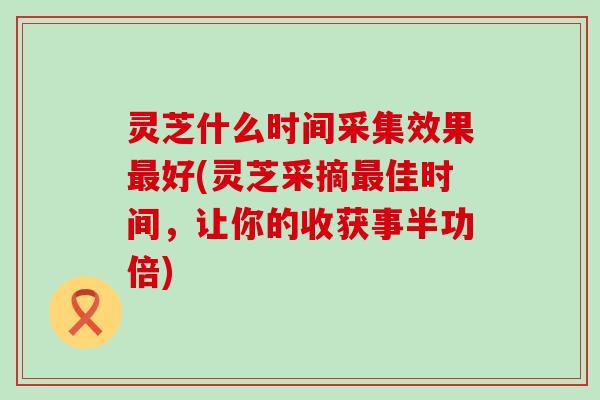 灵芝什么时间采集效果好(灵芝采摘佳时间，让你的收获事半功倍)