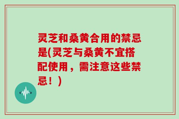 灵芝和桑黄合用的禁忌是(灵芝与桑黄不宜搭配使用，需注意这些禁忌！)