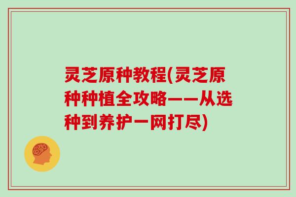 灵芝原种教程(灵芝原种种植全攻略——从选种到养护一网打尽)