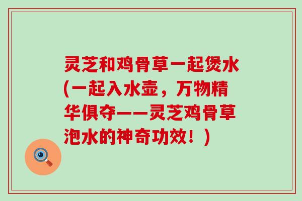 灵芝和鸡骨草一起煲水(一起入水壶，万物精华俱夺——灵芝鸡骨草泡水的神奇功效！)