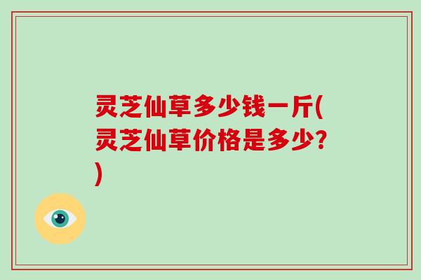 灵芝仙草多少钱一斤(灵芝仙草价格是多少？)