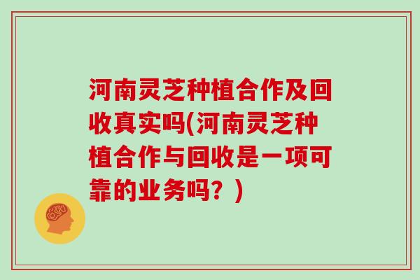 河南灵芝种植合作及回收真实吗(河南灵芝种植合作与回收是一项可靠的业务吗？)