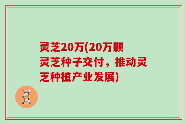 灵芝20万(20万颗灵芝种子交付，推动灵芝种植产业发展)