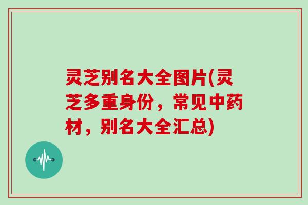 灵芝别名大全图片(灵芝多重身份，常见材，别名大全汇总)