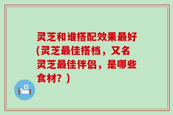 灵芝和谁搭配效果好(灵芝佳搭档，又名灵芝佳伴侣，是哪些食材？)