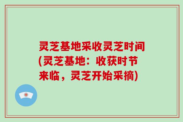 灵芝基地采收灵芝时间(灵芝基地：收获时节来临，灵芝开始采摘)