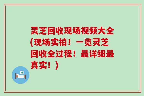 灵芝回收现场视频大全(现场实拍！一览灵芝回收全过程！详细真实！)