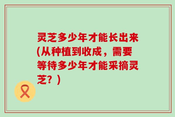 灵芝多少年才能长出来(从种植到收成，需要等待多少年才能采摘灵芝？)