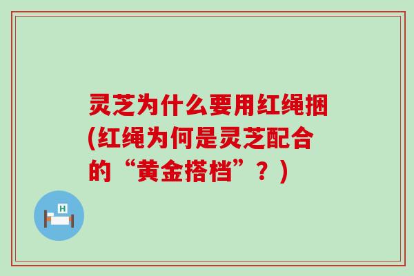 灵芝为什么要用红绳捆(红绳为何是灵芝配合的“黄金搭档”？)