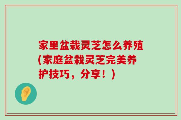 家里盆栽灵芝怎么养殖(家庭盆栽灵芝完美养护技巧，分享！)