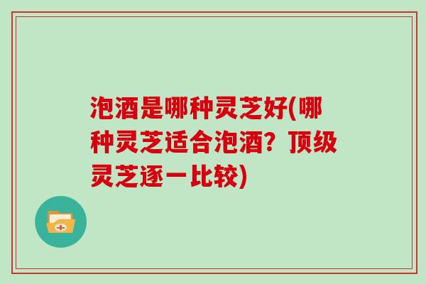 泡酒是哪种灵芝好(哪种灵芝适合泡酒？灵芝逐一比较)