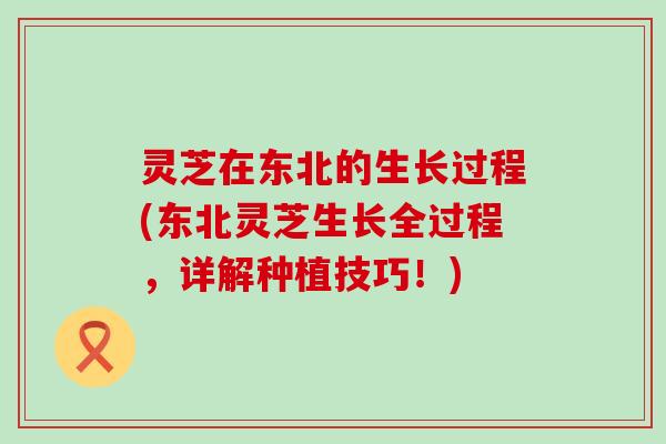 灵芝在东北的生长过程(东北灵芝生长全过程，详解种植技巧！)