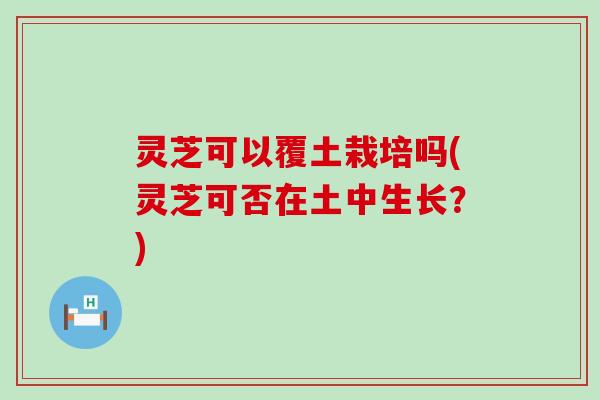 灵芝可以覆土栽培吗(灵芝可否在土中生长？)