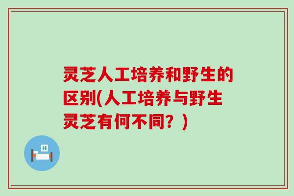 灵芝人工培养和野生的区别(人工培养与野生灵芝有何不同？)