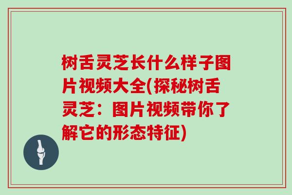 树舌灵芝长什么样子图片视频大全(探秘树舌灵芝：图片视频带你了解它的形态特征)