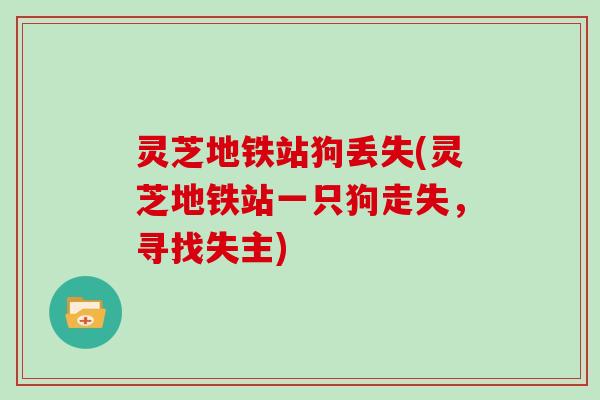 灵芝地铁站狗丢失(灵芝地铁站一只狗走失，寻找失主)